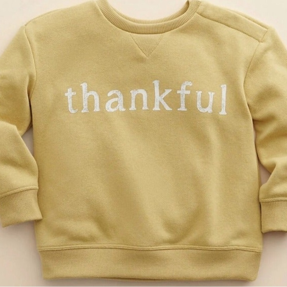 LC Little Co Thankful Pullover Sweatshirt Laura Conrad 6M, 18M, 24M